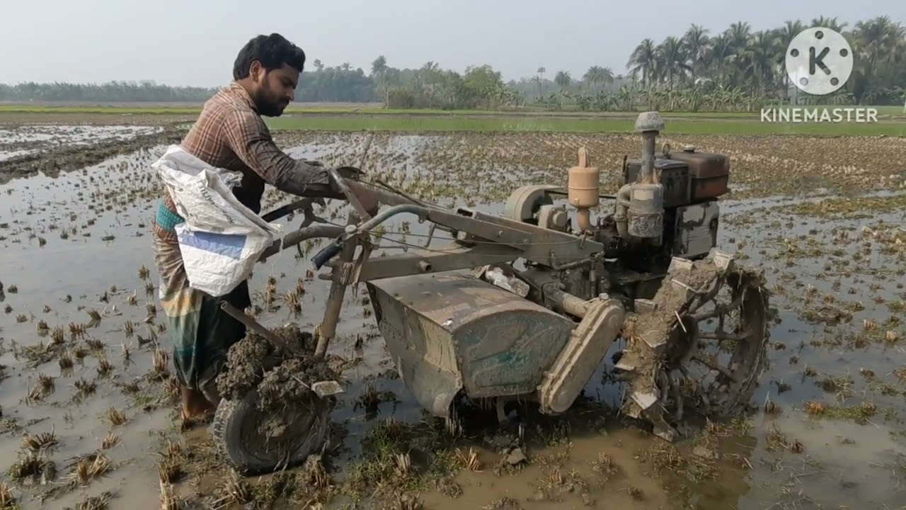 দেখুন একজন কৃষক সারাদিন কি কি করে | See What a Farmer Does All Day. #কৃষক #ধানরোপণ #জমিচাষ #চাষি