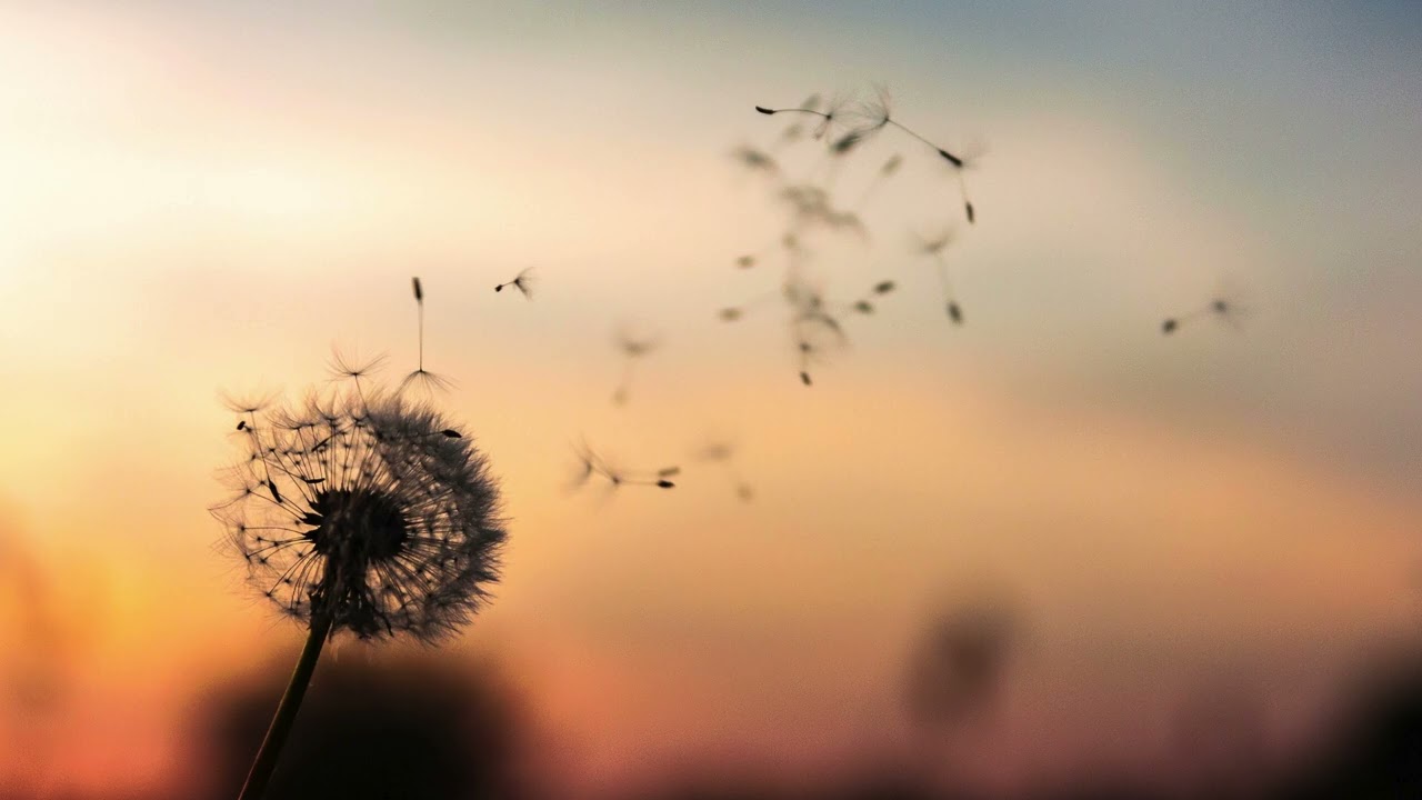CoveBeats – One more look 🔊 | Deep House Club Track