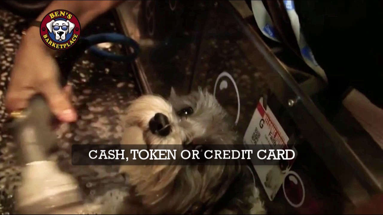 Bens_Barketplace_Dog_Wash