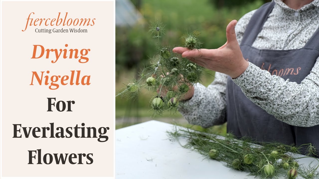 Nigella Drying Tips To Create Your Own Everlasting Flower Arrangements