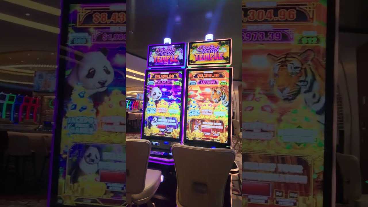Icon of the seas Casino Tour all slots and tables at the end. February 2026