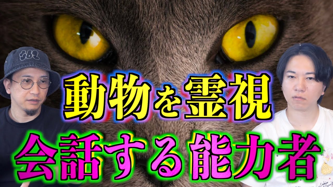 【霊視】動物を霊視！？動物たちと会話ができる能力者とは！？【アニマルコミュニケーション】