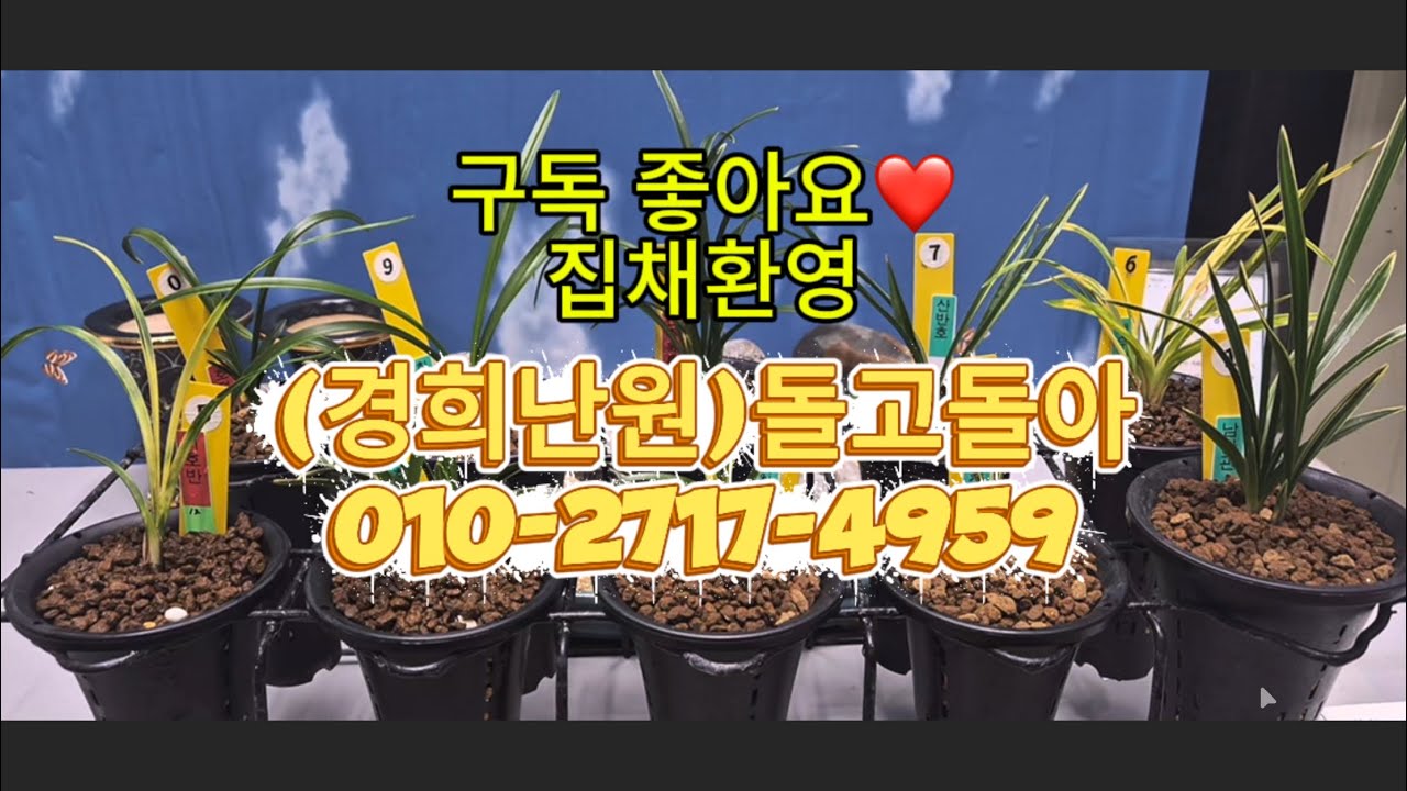 0305 1차 남산관 천종 사천왕 환엽복륜 서호반 백두산 까닥지산반호 무명복륜 한강 호정