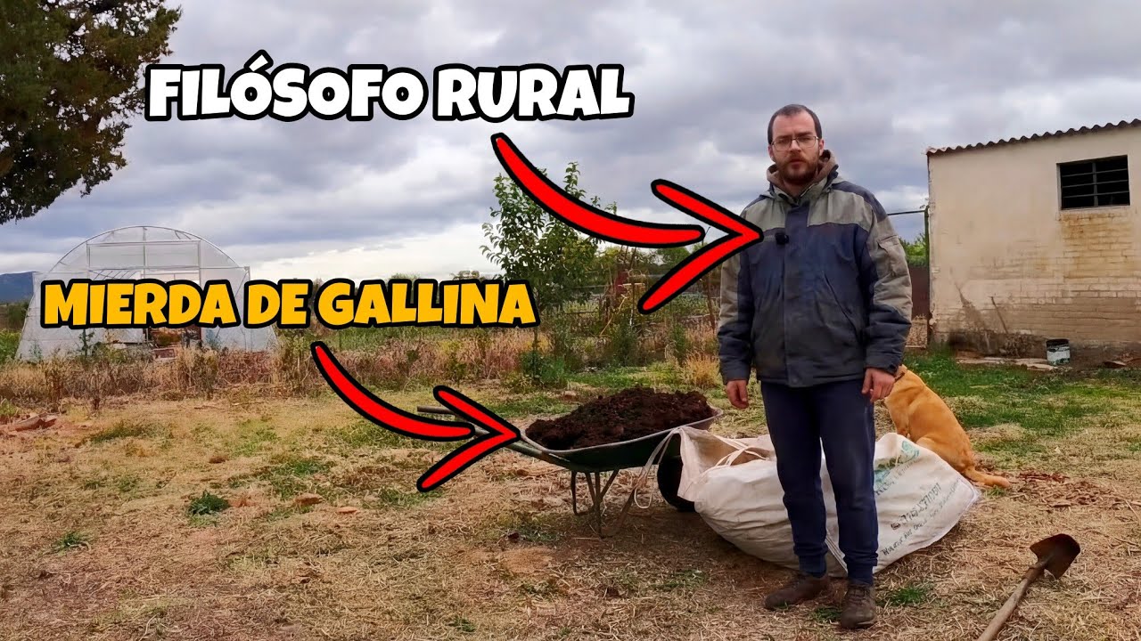 ¿Me estoy volviendo loco? ¿Soy el único que piensa en estas cosas?