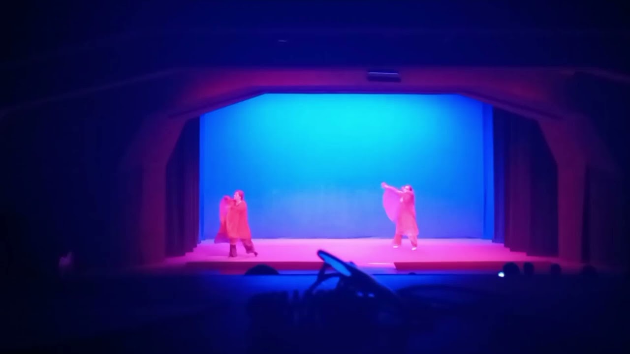 Chopin Etude in F Minor Dornach June 2025  performed by Peredur Eurythmy