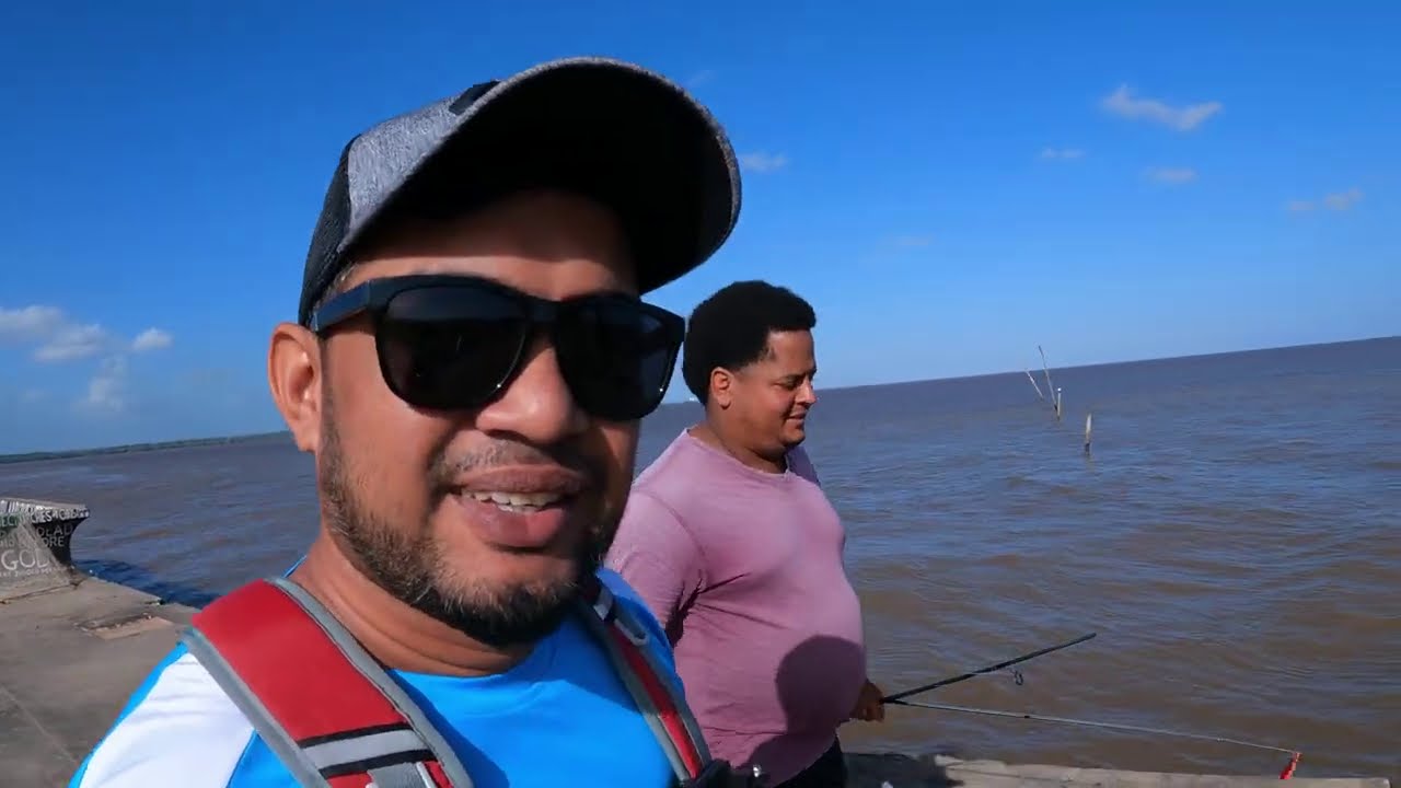 kingston seawall fishing#Basher#Pacu#Catfish#Sting ray