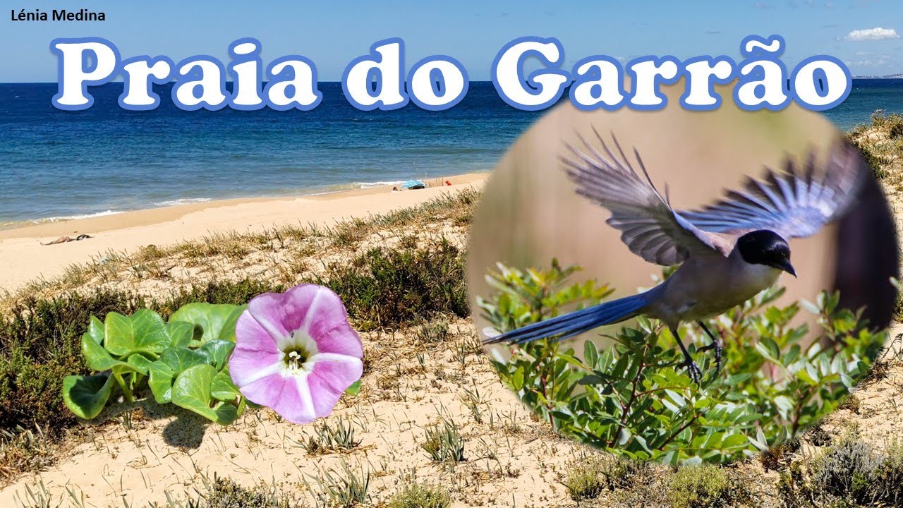 Praia do Garrão - Algarve - Portugal