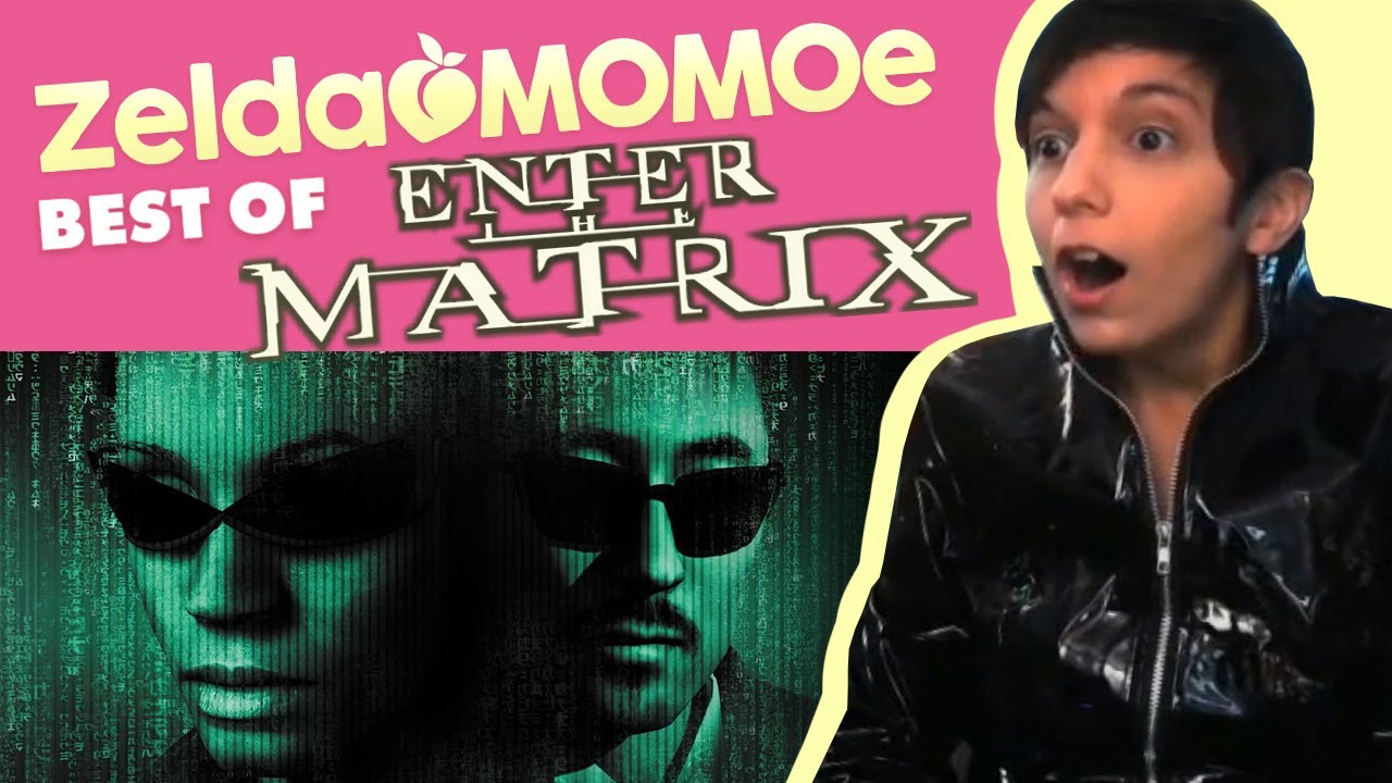 Best Of Enter the Matrix