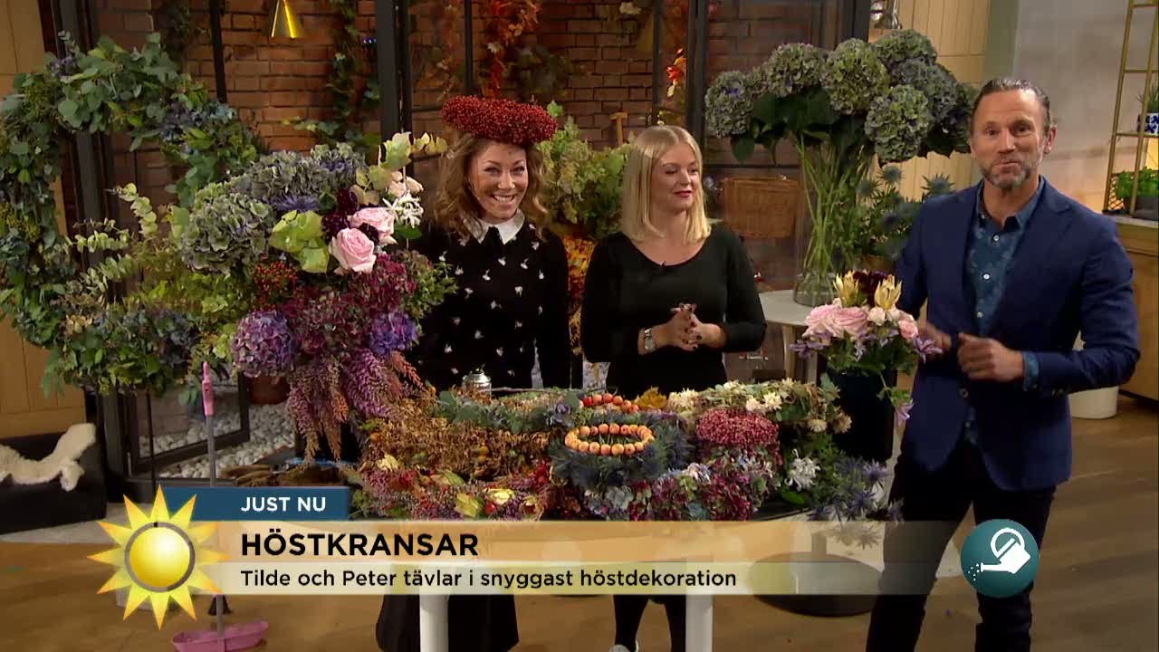Så fixar du höstkransen - Nyhetsmorgon (TV4)