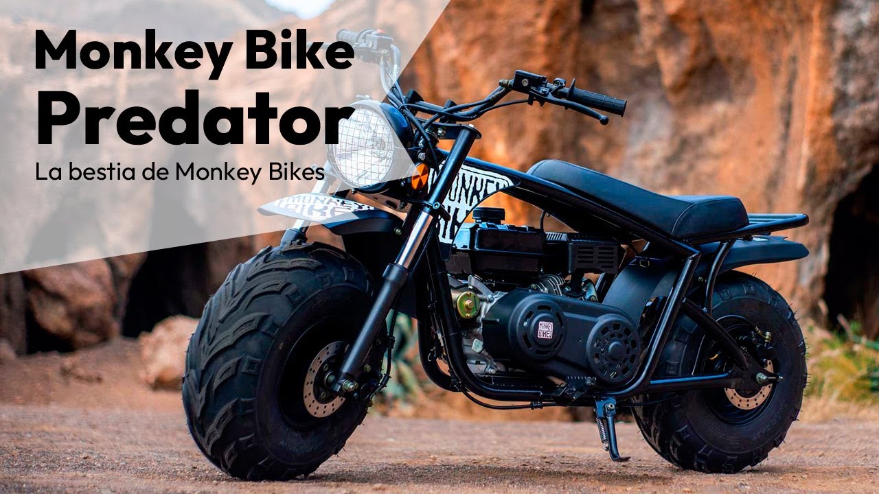 Monkey Bike Predator