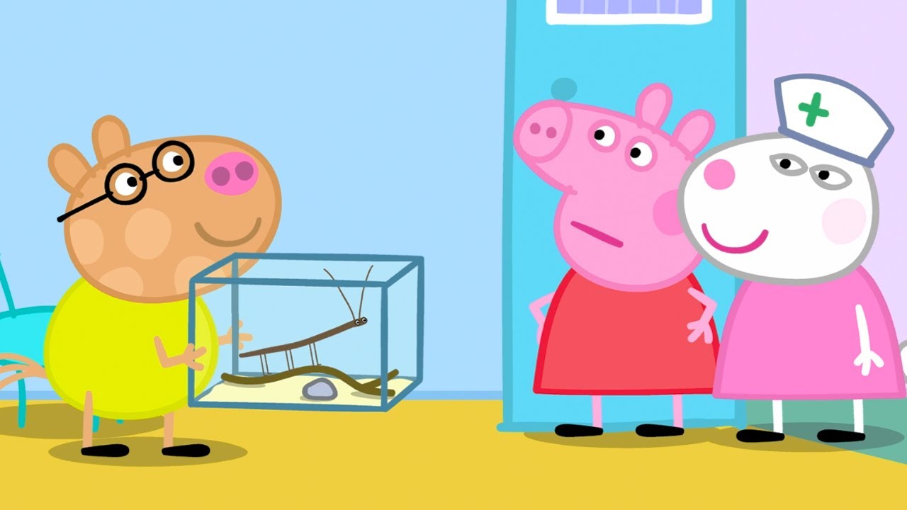 Une Journée Chez les Vétérinaires | Peppa Pig Français Episodes Complets