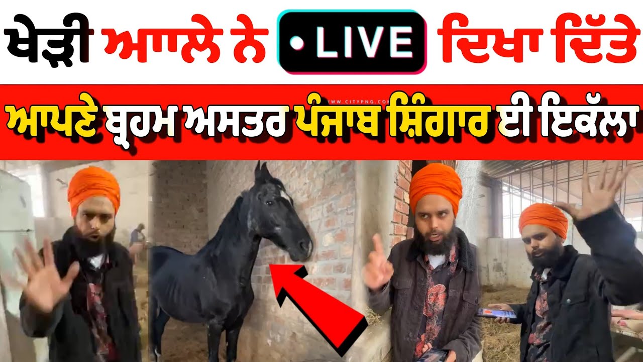 Khedi wale Baba live Jado dikha ditta Punjab Singhar #sarpanch #khedi #khedibaba #punjabsinghar