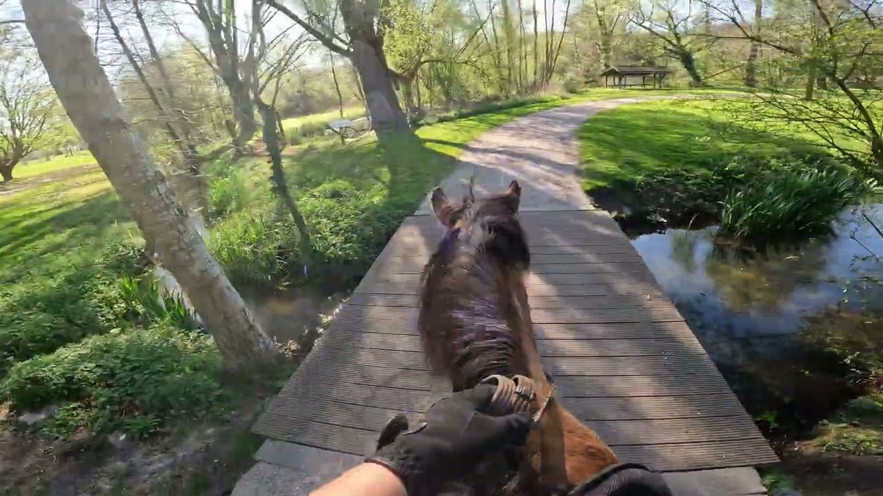 Adventure in the Parc