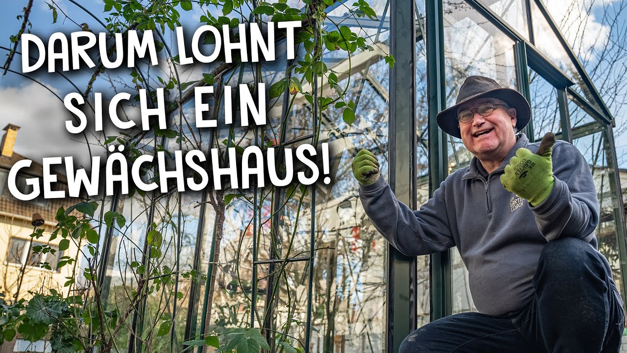 Gewächshaus im eigenen Garten! 🌿 - Aufbau und Qualität im Test