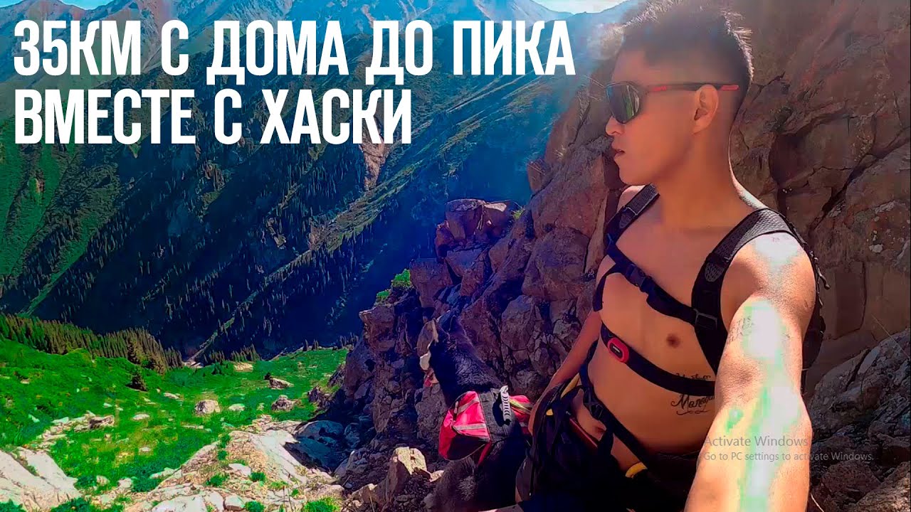 35км с нашей квартиры до горного пика | Невероятный Сибирский Хаски из Алма-Аты
