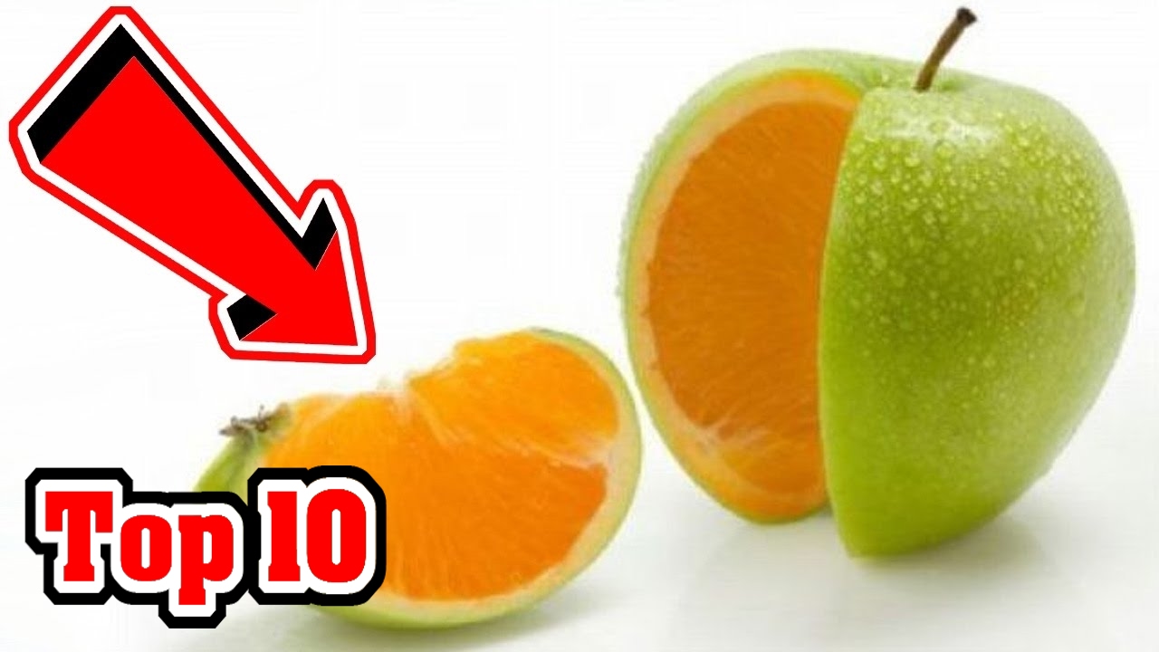 10 Most BIZARRE Genetically Modified Plants EVER