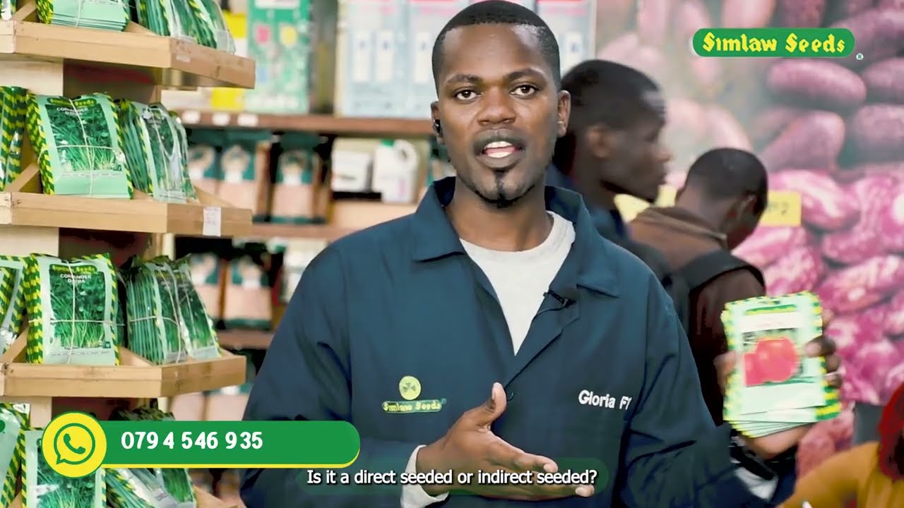 Nursery Establishment &Management Part 1-Simlaw Seeds