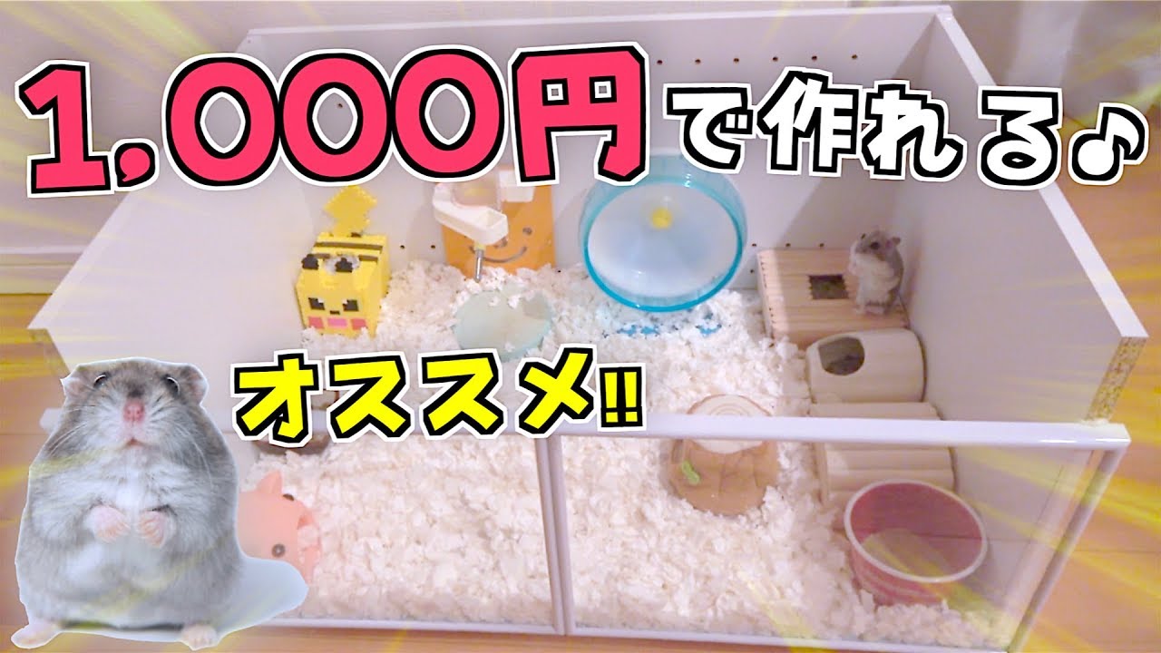 【ハムスター 家】