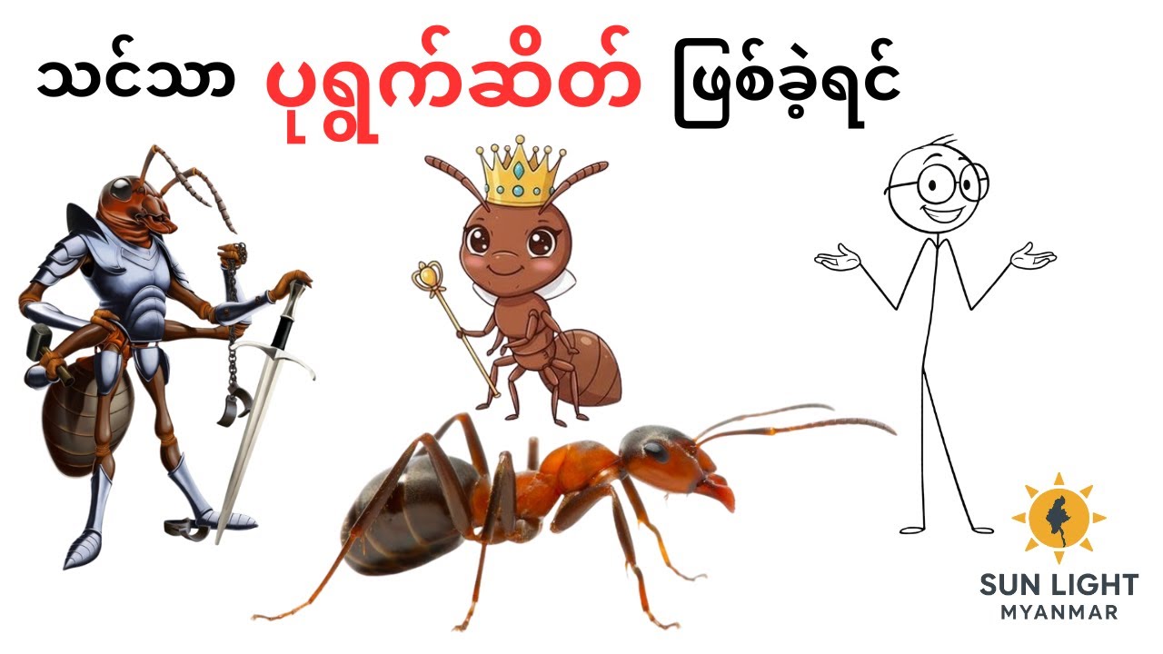 သင်သာ ပုရွက်ဆိတ် ဖြစ်ခဲ့ရင်
