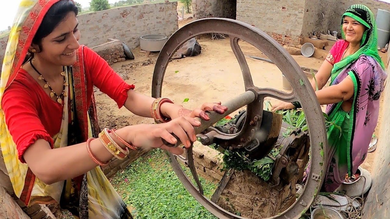 [462] भुआ का गाँव पसंद है मुझे तो ❤️ Beautiful Culture Great People Desert Rajasthani women village
