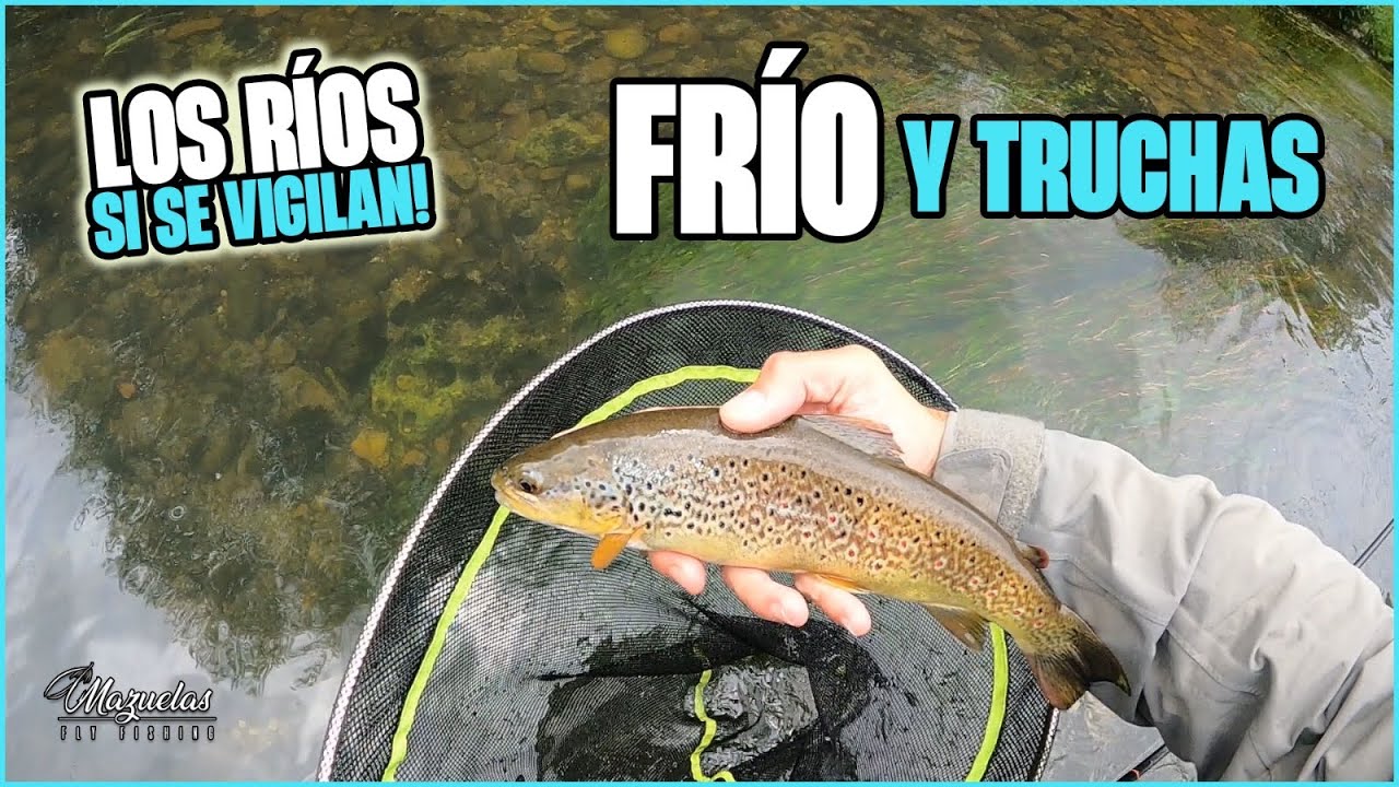 Días de frío,momentos difíciles.Nos sorprende el guarda.Mazuelas Fly Fishing 2024.
