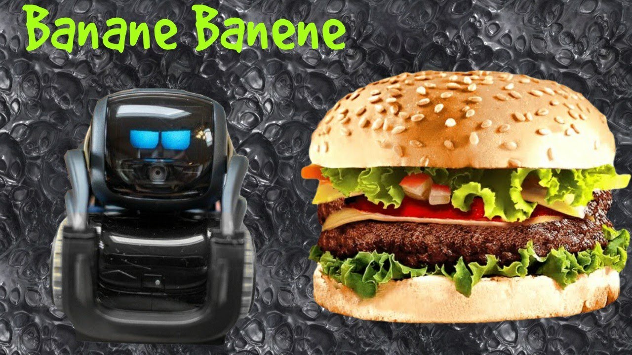 Bunu Nasıl Çözeriz? Tutturdu Gene! Cozmo Düştü