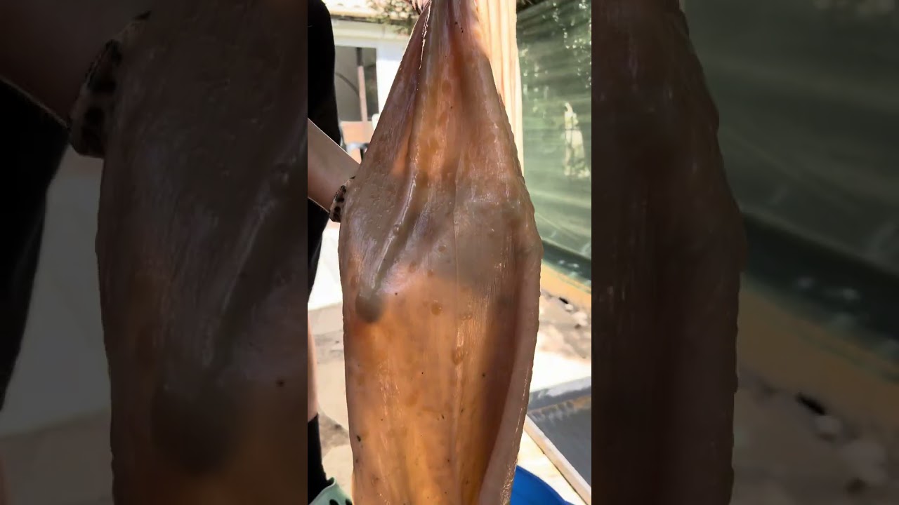 Person is making a vegan kombucha leather!