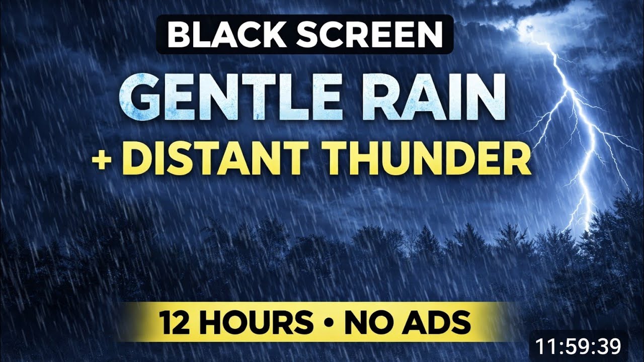 Gentle Rain & Distant Thunder (12 Hours) | Black Screen | Sleep Sounds | No Ads