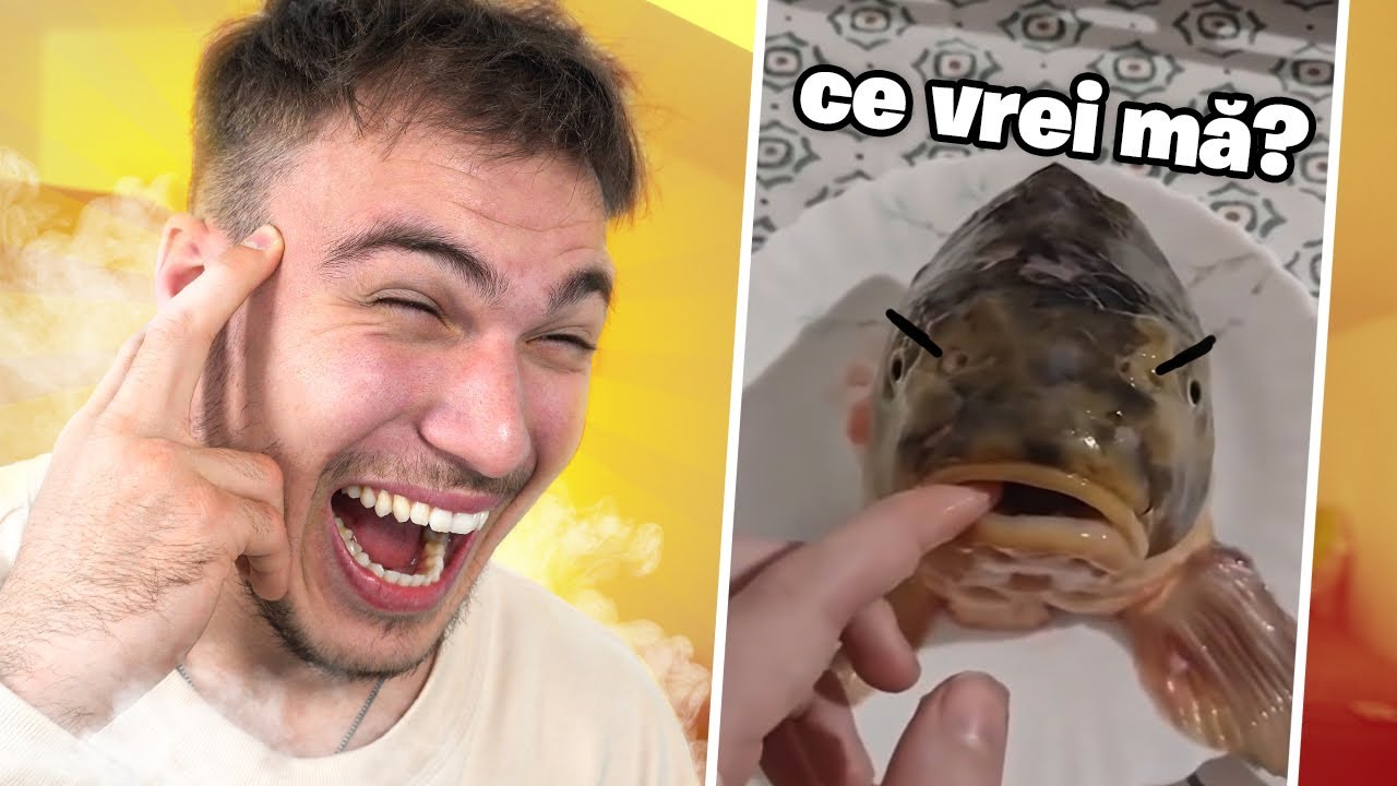 Dc am râs la asta? (Încearcă să nu râzi)