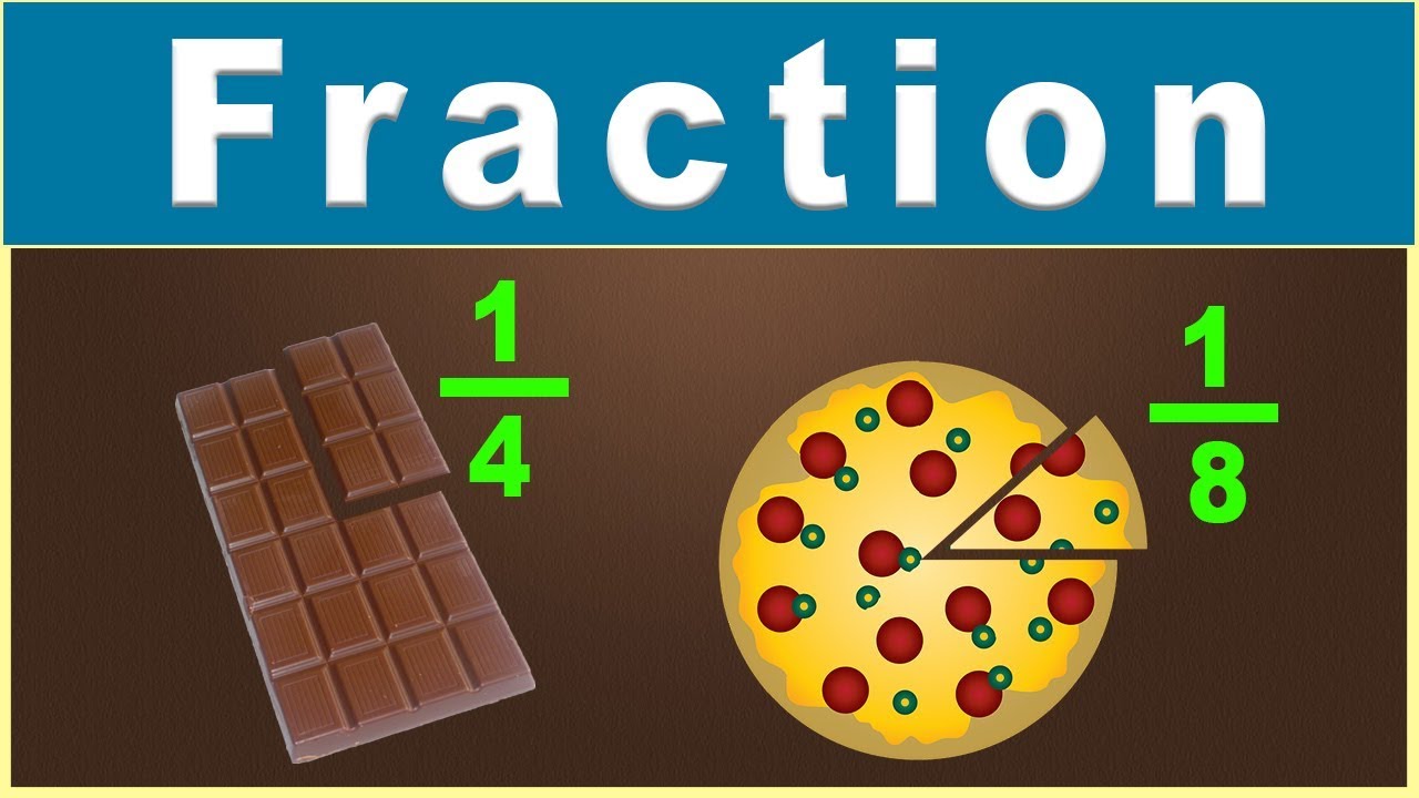 EnVision Math Grade 3 Lesson 12-2 I Fractions and Regions