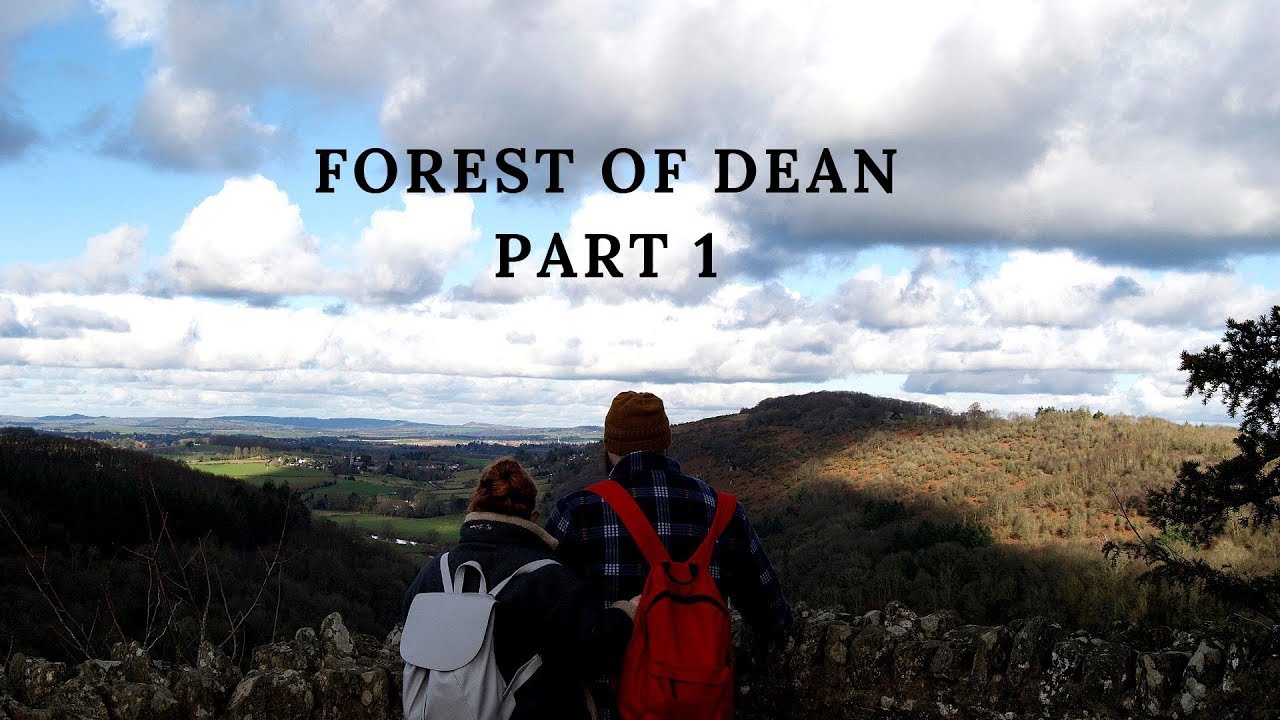 VW WESTFALIA VLOG :- THE FOREST OF DEAN ADVENTURE| PART ONE
