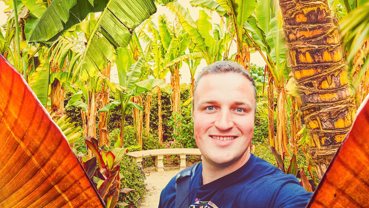Rare Plants in a Jungle Ravine & the AMAZING Exotic Garden at RHS Wisley