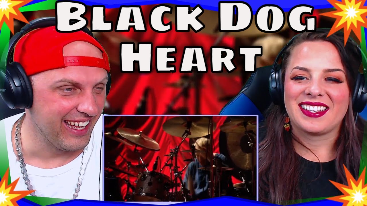 Heart - Black Dog (HD) THE WOLF HUNTERZ REACTIONS