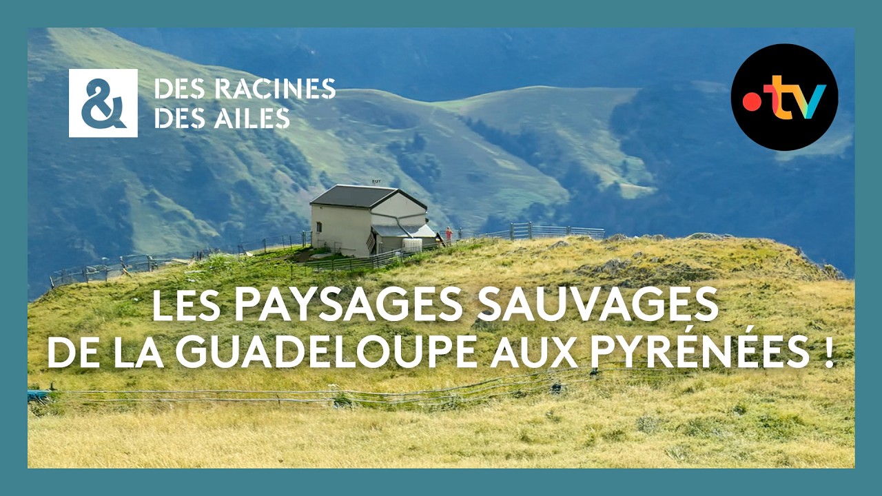 Les paysages sauvages de la Guadeloupe aux Pyrénées ! - Des racines et des ailes