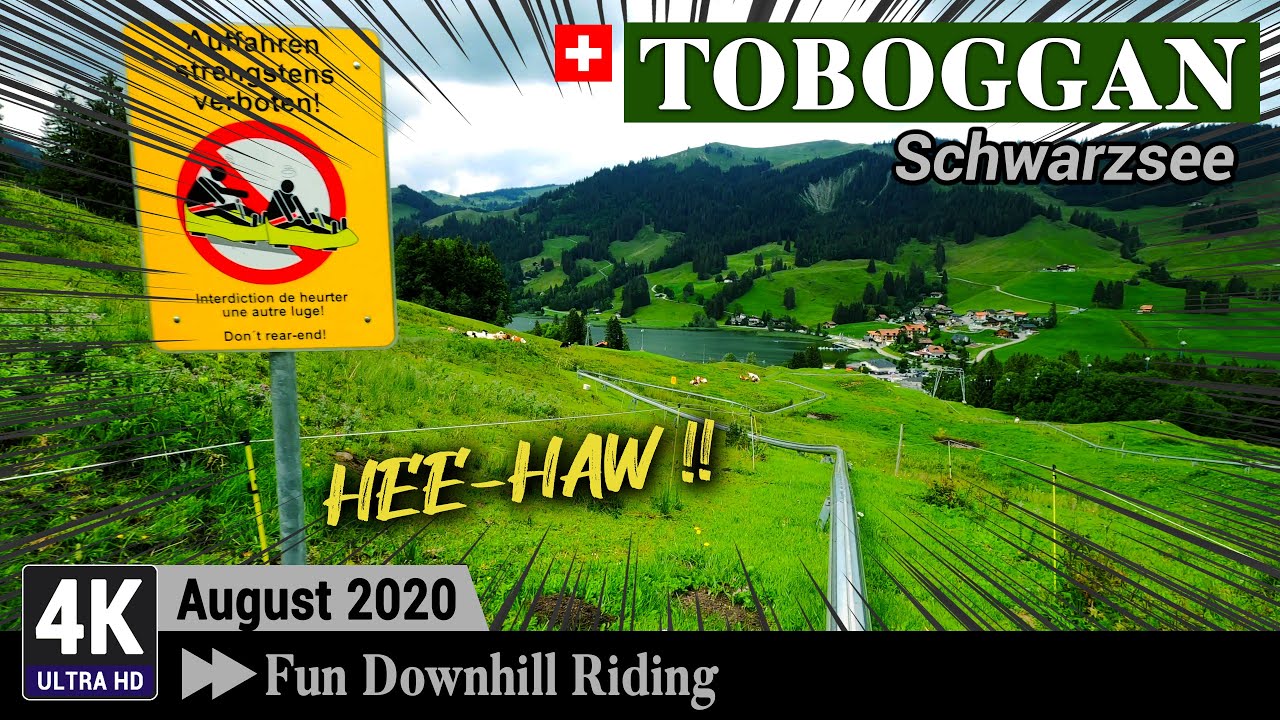 Schwarzsee / Lac Noir / Switzerland 4K -  Monorail Toboggan - Top to Bottom FPV
