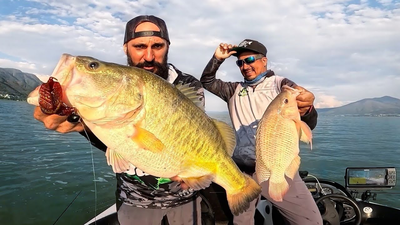 Un Lago con EXCESO de PESCADO?? 