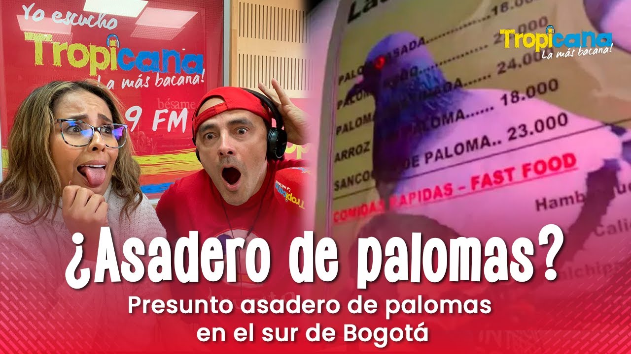 ¿Asadero de palomas en Bogotá? Así sería ese supuesto restaurante