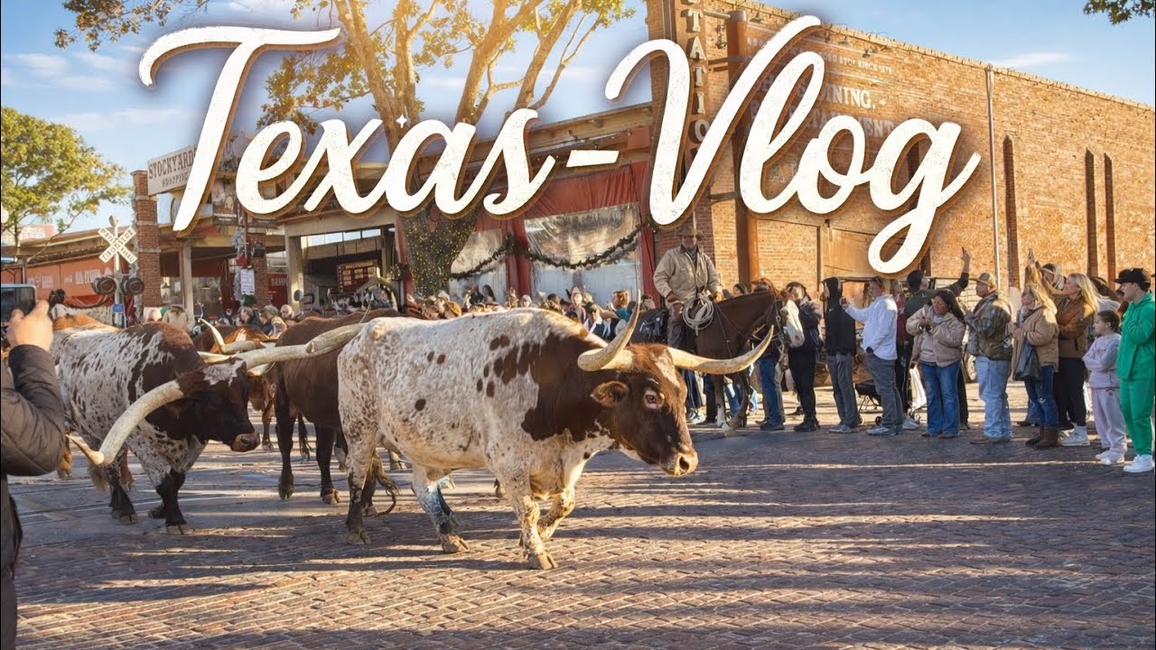 Saddle Up in Fort Worth | Cowboy-Feeling pur #TexasVibes #CowboyWeekend #RodeoMood