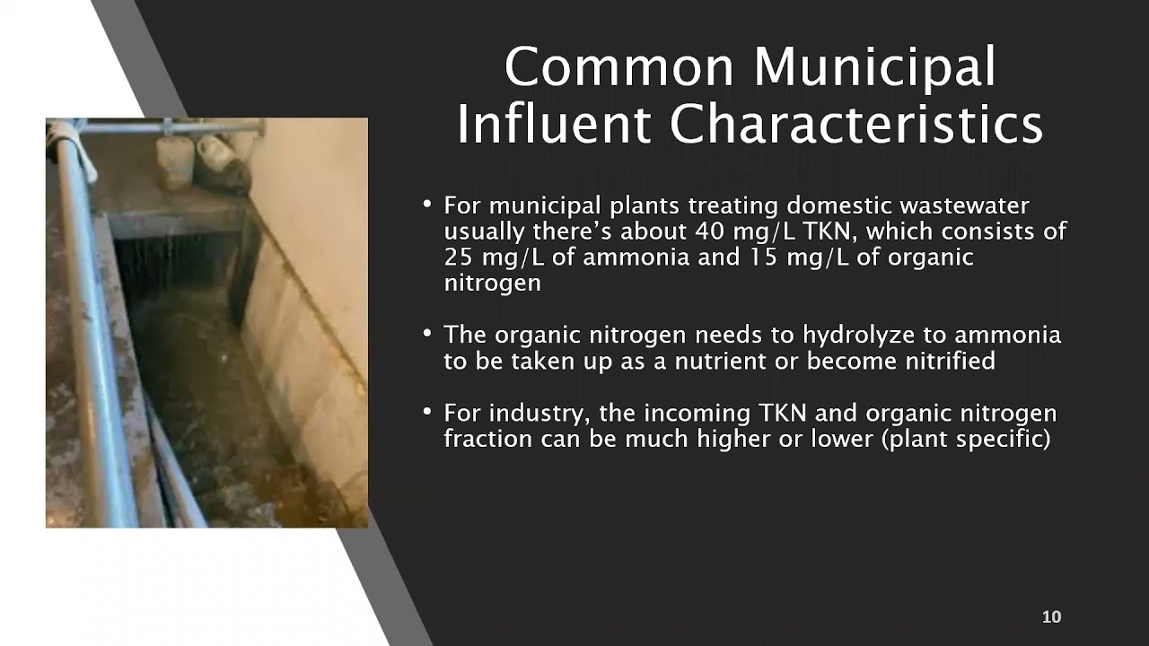 Wastewater Nitrogen Removal