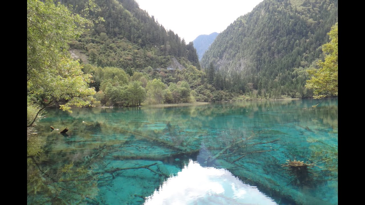 九寨溝之旅(+黃龍+都江堰+樂山大佛+峨嵋山)