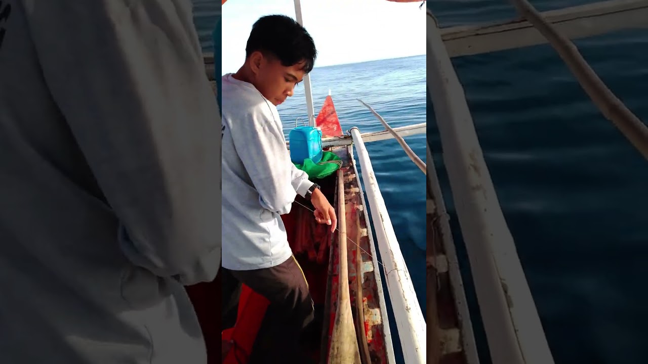 Malaking Red grouper #fishing line 
