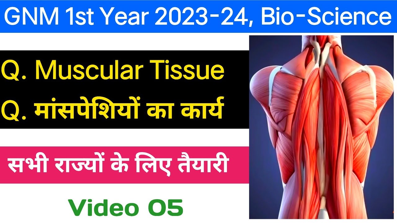 GNM first year Bio-Science Lecture प्रतिदिन Class Video 05, Muscular Tissue 2023-24 @NursingGyan