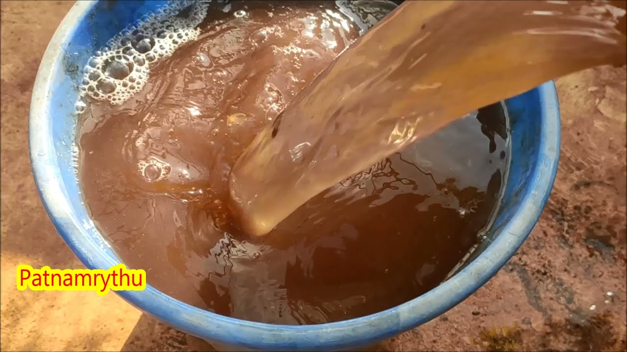Free నెమటోడ్స్ పోవాలంటే సింపుల్ గా ఈ ద్రావణాన్ని పోయండి , ఒక్కసారి తయారు చేస్తే 6నెలలు వాడొచ్చు