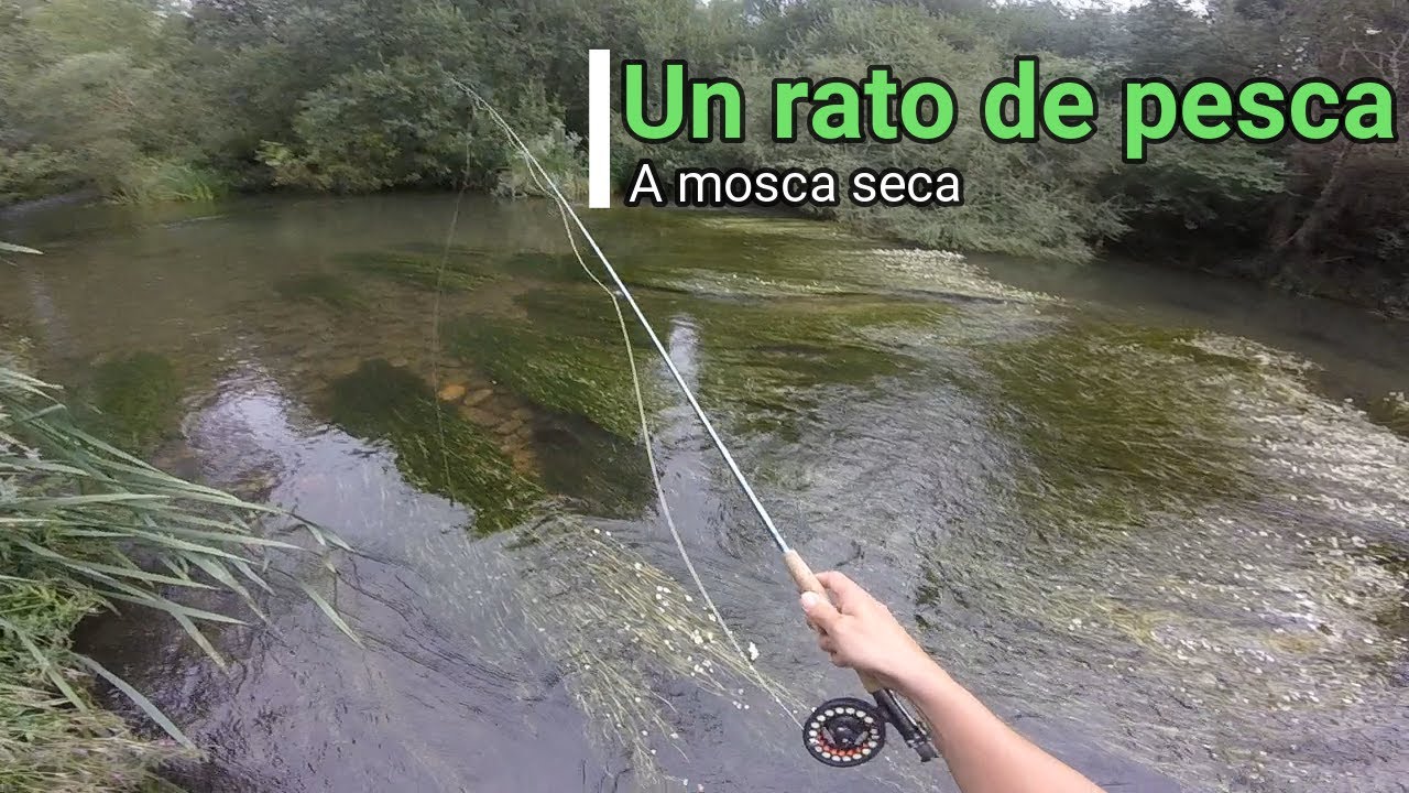 Un rato de pesca a mosca seca