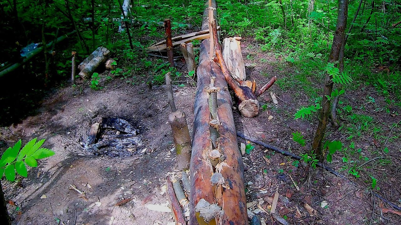Camp in bush craft only ax. Splitting tree. Bushcraft no talk. Shelter bild. Bushcraft camp