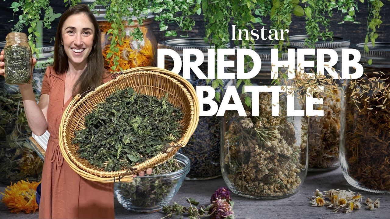 Battle of the Dehydrator and Freeze Drier - Herb Edition