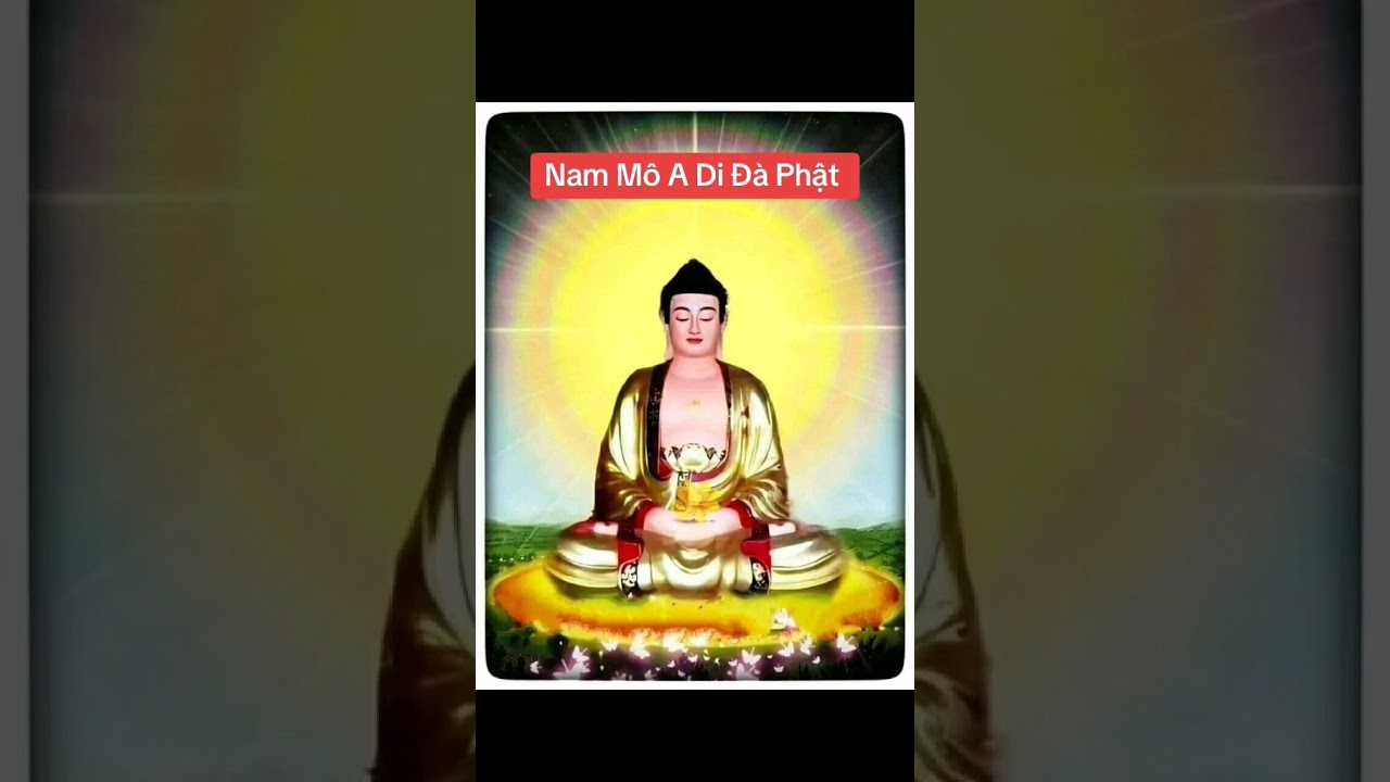 Nam M&ocirc; A Di Đ&agrave; Phật 🙏 #nammoadidaphat #loiphatday #niemphat