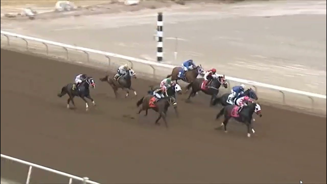 R9 SUNLAND USA -07 FEB 2026