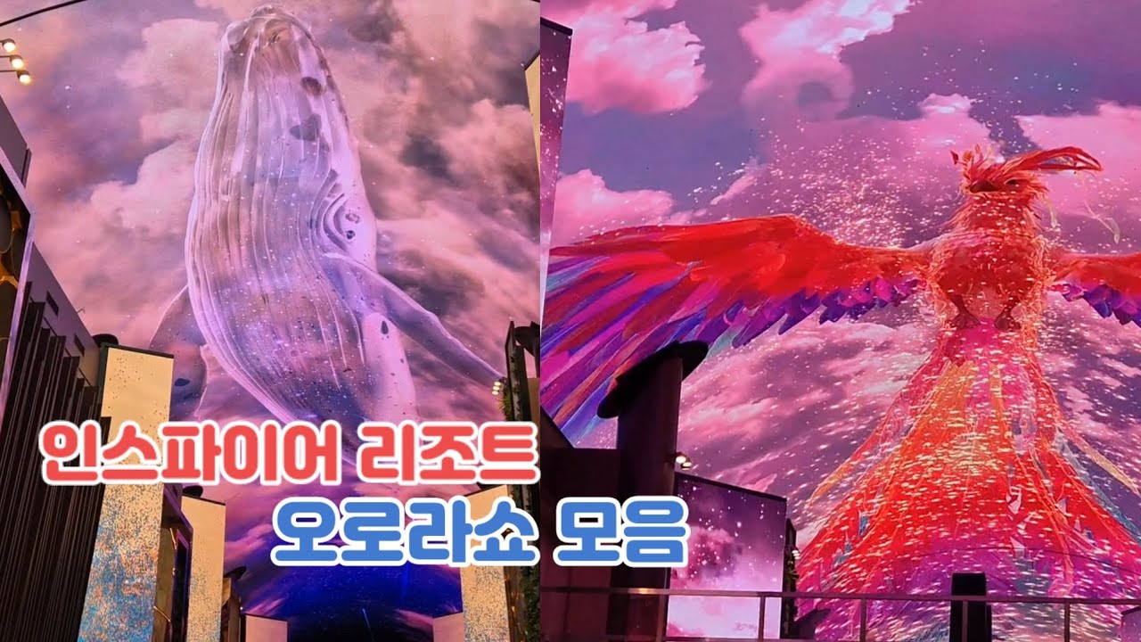 인스파이어 리조트 오로라쇼 모음