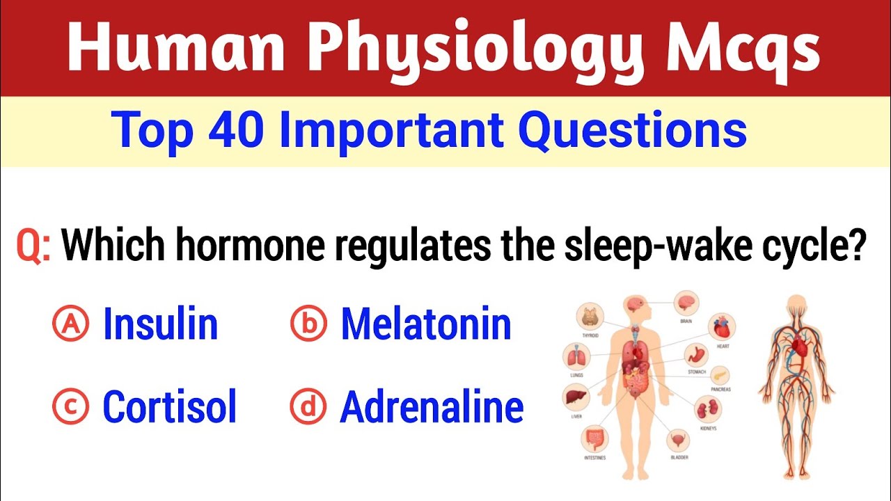 Human physiology important mcqs || Anatomy and physiology questions || Physiology Mcq